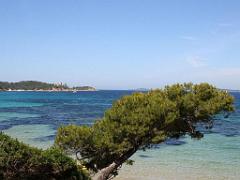 183 ILE DE PORQUEROLLES -4_000022